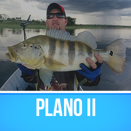 plano-2
